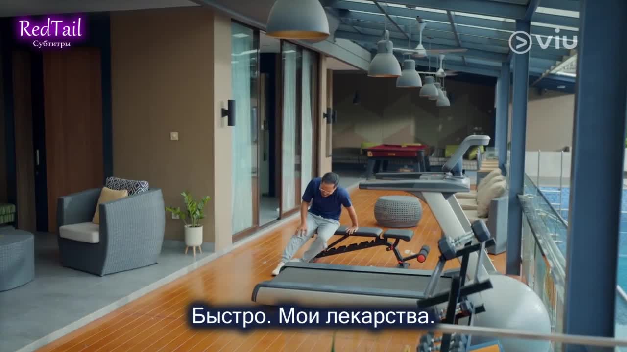 Альфа женщины