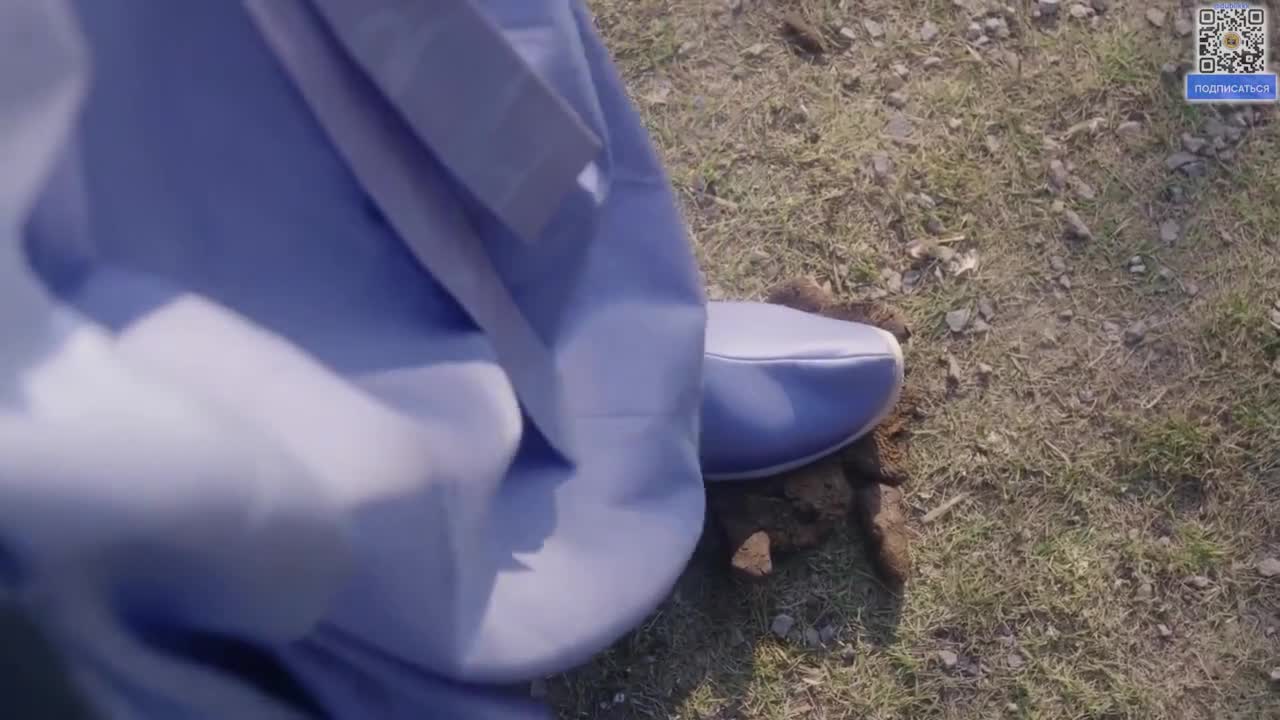 Королева поступлений
